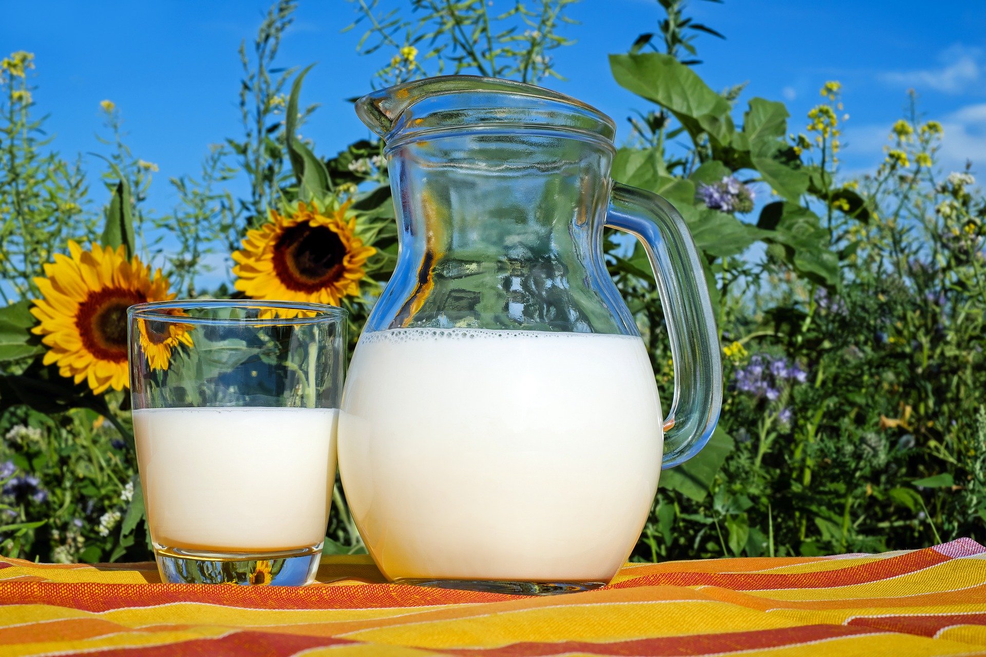 Ernährungstabelle Milchprodukte ModernBeauty ModernBeauty